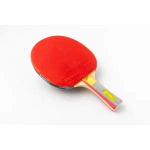 Racchetta ping pong 3 stelle